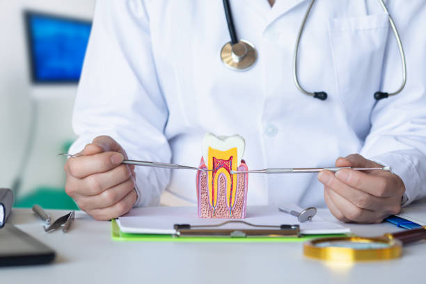 Best Pediatric Emergency Dentist in Dumas, AR